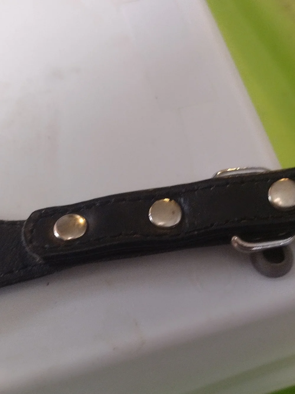 Black Leather Dog Collar with Crystal Studs